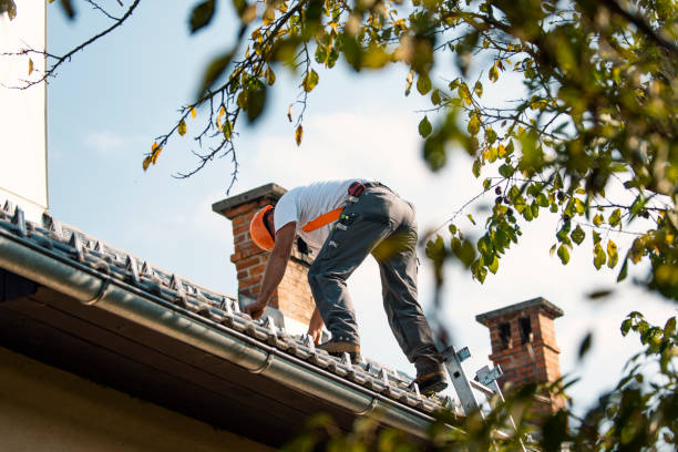 Best Metal Roofing Contractor  in Harristown, IL