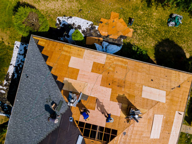 Best Metal Roofing Contractor  in Harristown, IL