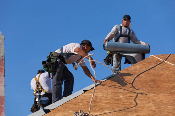 Best Roof Maintenance Services  in Harristown, IL