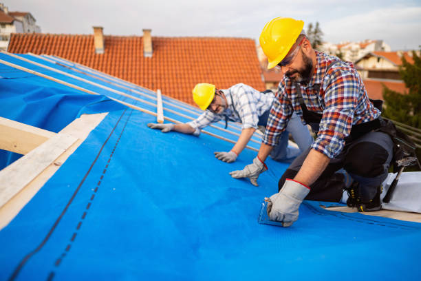 Best Roof Inspection Near Me  in Harristown, IL