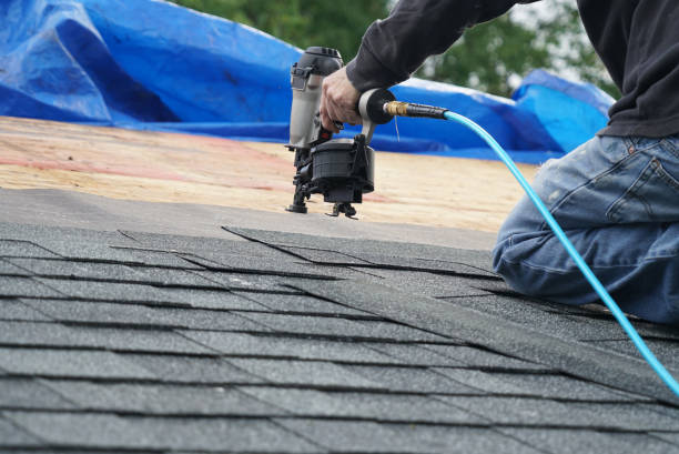 Best Roof Restoration Services  in Harristown, IL