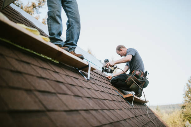 Best Roof Gutter Cleaning  in Harristown, IL